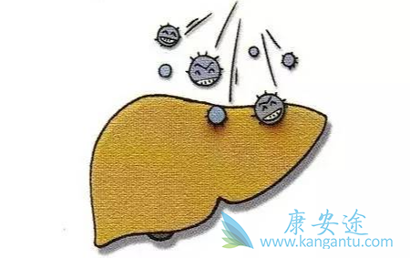 治疗丙肝