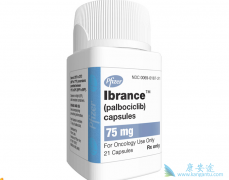 palbociclib/IBRANCE的用法分析