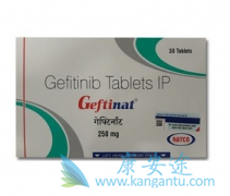 GefitinibƷСϸ