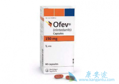 维加特/尼达尼布搭配紫杉醇的疗效