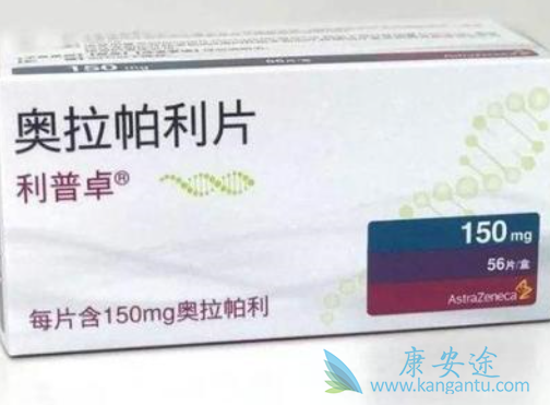 奥拉帕尼有多好