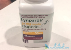 奥拉帕尼靶向治疗的副作用