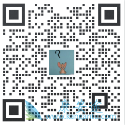 阿帕他胺,Apalutamide