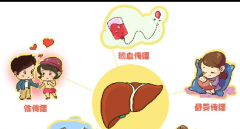 乙肝是如何传播的？乙肝怎么治疗